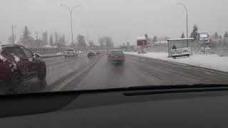 2019-11-19 9:53 AM (1323 9 Ave SW, Calgary, AB T3C 0H9,)