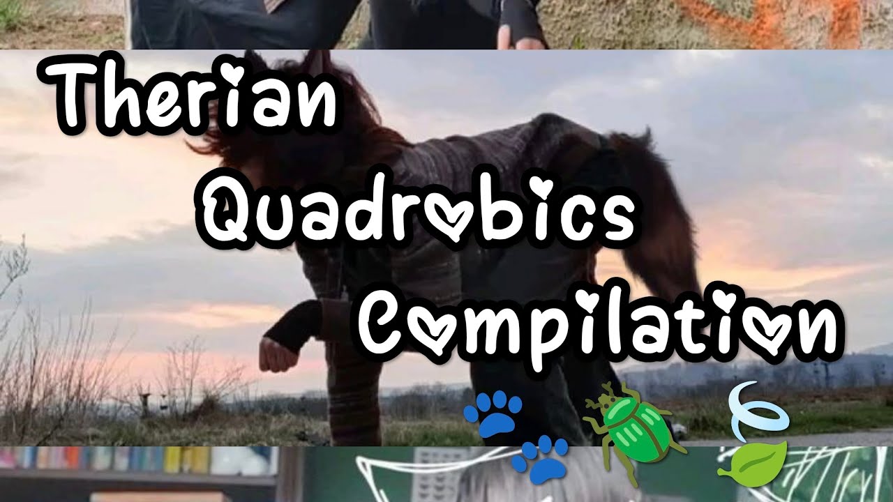 Therian Quadrobics Compilation рџђѕрџєірџќѓ Alterhumans Therians Quadrobics
