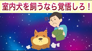 「家の中で犬を飼うぞ！」と決めたなら心しておいた方がよい３つのこととは？【獣医師解説】