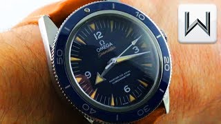 Omega Seamaster 300M BLUE/TITANIUM Master Co Axial Chronometer 233.92.41.21.03.001 Watch Review