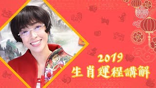 🐷北角碼頭雪姑娘之 2019 豬年運程預測🐷