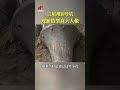 独一无二三星堆8号坑现新造型高大人像 中华国宝