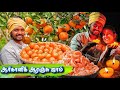 FARM FRESH ORANGE HARVESTING | ஆரஞ்சு தோல் la விளக்கு