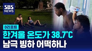 겨울인데 38도…펄펄 끓는 남반구 / SBS / #D리포트