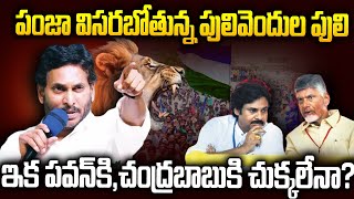 ఇన్నిరోజులు నుండి ఒక లెక్క..ఇక నుండి ఓ లెక్క: జగన్ వస్తున్నాడు🔥🔥 #ysjagan #chandrababu #pawankalyan