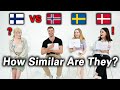 Finnish Language l Can Norwegian, Swedish and Danish Speakers Understand it? (Nordic Language)