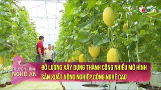 Đô Lương xây dựng thành công nhiều mô hình sản xuất nông nghiệp công nghệ cao