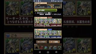 【パズドラ】夏のガチャドラ降臨！ 劉備 パズル無し周回編成