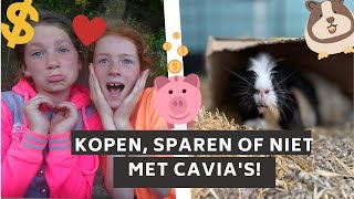 de KOPEN, SPAREN of NIET challenge met CAVIA'S! |Aimée's world