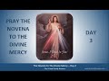 Day 3 - Novena to The Divine Mercy with Chaplet