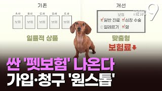 펫보험, 가격 낮추고 보장 넓히고 가입·청구 원스톱으로