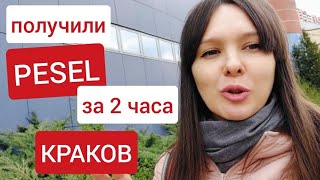 Получили PESEL за 2 часа. Выплаты для украинцев в Польше. Очереди на получения PESEL в  Кракове.