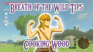 BOTW tips 1: You can Cook Wood