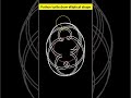 Draw elliptical shape with python turtle #shorts