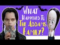 What Happened To THE ADDAMS FAMILY? (A Full Series Retrospective)