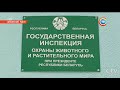 Переделали карабин в автомат в Дрибине задержали браконьеров