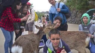 捷安特旅行社單車旅遊_明道中學日本島波海道單車教育旅行_志豪版