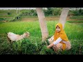 CANTIK ALAMI..!! Gadis Desa Sukabumi, Menggembala Kambing Di Kampung || Indonesian Girl Rural Life