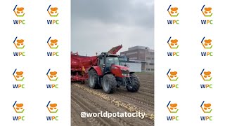 Loading Potatoes | Netherlands | Dutch farming [2021] #shorts