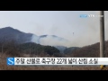 주말 동안 산불 42건...축구장 22개 넓이 산림 소실 ytn 사이언스