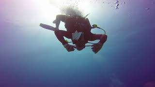 Curacao Aquanauts diving @ Sunset Waters