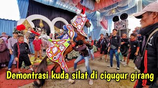 Aktraksi kuda silat si kempil putra | Kuda renggong cuta muda di lembang