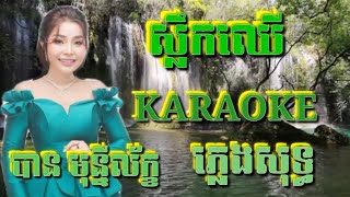 ស្លឹកឈើ ( ស្រី ) ( ភ្លេងសុទ្ធ ) Karaoke Sing Along