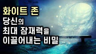 즐거운 몰입, 화이트 존으로 들어가라 ㅣ 왜 이것이 몸에 좋을까 ㅣ 고바야시 히로유키 ㅣ 김영사