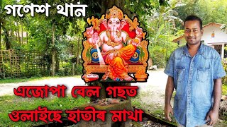 গণেশ থান | এজোপা বেল গছত ওলাইছে হুবহু হাতীৰ মাথা #Spiritual_Vlog #Muktimantra_RajibDas #Morigaon