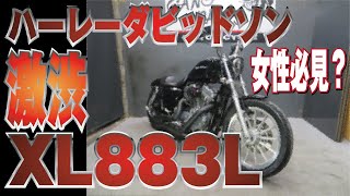 【女性必見】憧れのハーレーダビッドソン　XL883L　ロー　販売車両紹介！XL1200　スポーツスター