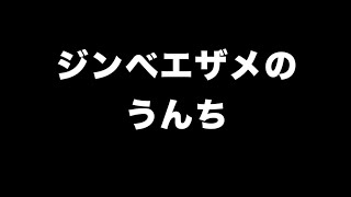 ジンベエザメのウンチ