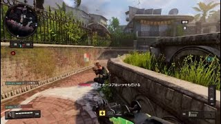 【BO4 】1000レベ猛者達 粉砕するマン