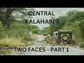 Central Kalahari   Part 1