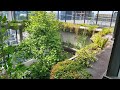 Collins Arch Sky Garden & Vertical Gardens - Featured Project