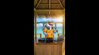 May 20 | Crab Island Destin FL | Daily Weather Conditions | #Shorts #CrabIsland #Destin