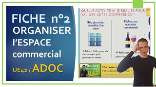 BTS MCO | Fiche 2 en ADOC : Organiser l'espace commercial | Méthodologie & idées d'activités