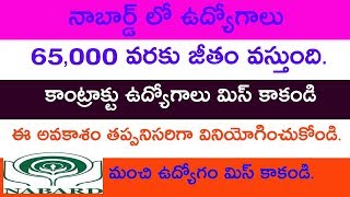 nabard consultancy Serivices Private Limited jobs Update in telugu Indian jobs ap and ts