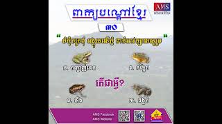 ពាក្យបណ្តៅខ្មែរ ទី៣០៖ កំប៉ុកក្រពុំ អង្គុយលើភ្នំ ពាក់អាវក្បាលសូត្រ តើជាអ្វី?