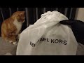 【福袋2023】マイケルコース福袋・ラッキーバッグ（g）【michael kors lucky bag （g）】