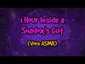 1 Hour Inside a Shadox's Gut (Vore ASMR)