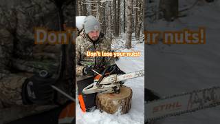 STIHL ms261 pro saw advantage!