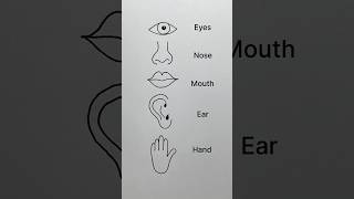 eyes drawing nose drawing ear drawing #art #drawing #trendingshorts #trending #shorts #viralshorts