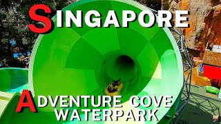 Singapore Adventure Cove Waterpark, Water Slides, Lazy River, Wade Among Rays and Dolphins