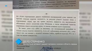 Экспертиза по делу Стерненко: активист ударил человека ножом в область сердца