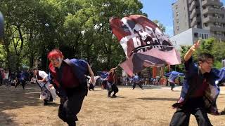 関東どまつりチーム 轟　にっぽんど真ん中祭り 2019