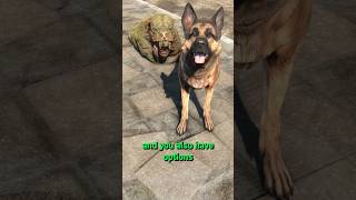 Fallout 4’s Best Dog Vendor