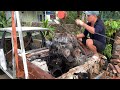 Restoration Car TOYOTA 1989 Antique | Restore classic car engine part 2