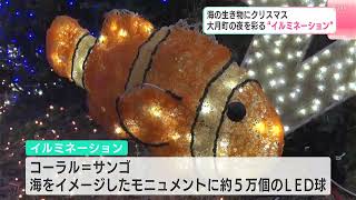 海の生き物にクリスマス　高知県大月町の夜を彩る“イルミネーション”