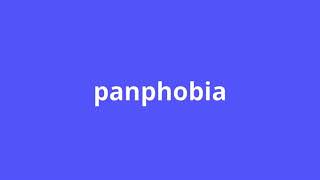 what is the meaning of panphobia