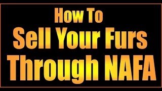 Trapline Tutorials. HOW TO SELL FURS THROUGH NAFA